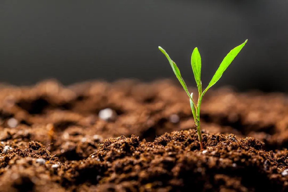 土壤理化指标检测