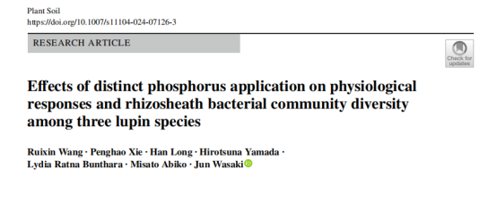 文献解读：不同施磷对 3 种羽扇豆生理响应和根际细菌群落多样性的影响