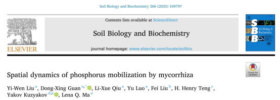 文献解读：菌根驱动磷活化的空间动态机制