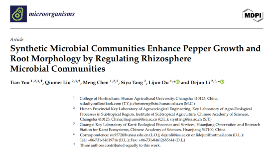 文献解读：合成菌群通过调节根际微生物群落促进辣椒生长和根系形态